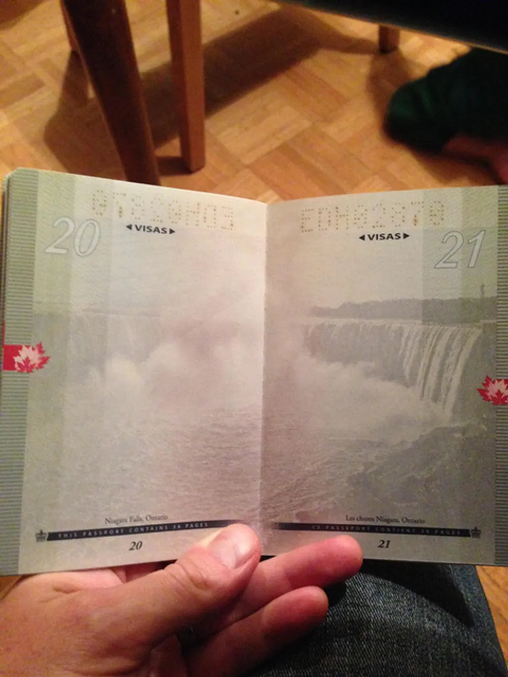 Fotó: chachichachichicken / imgur 