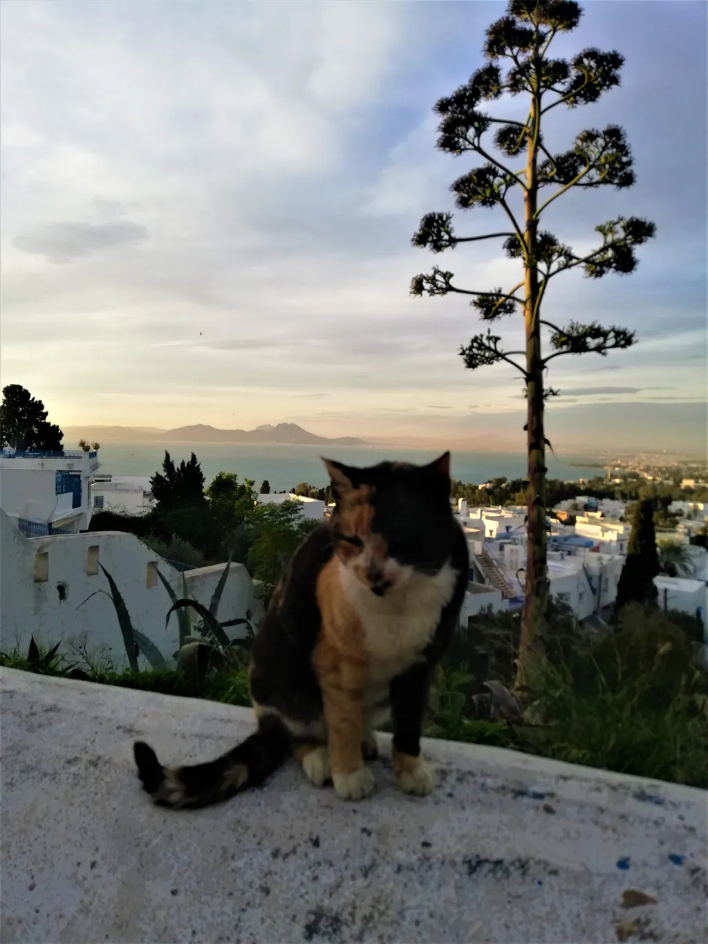 Forrás: Travelo 
