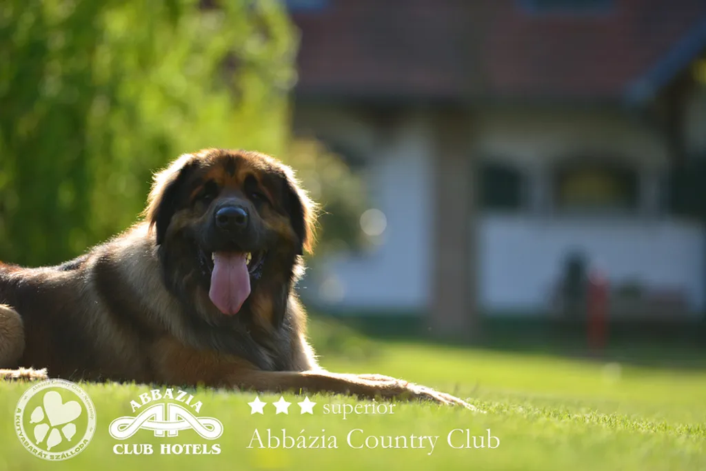 Fotó: Abbázia Country Club 