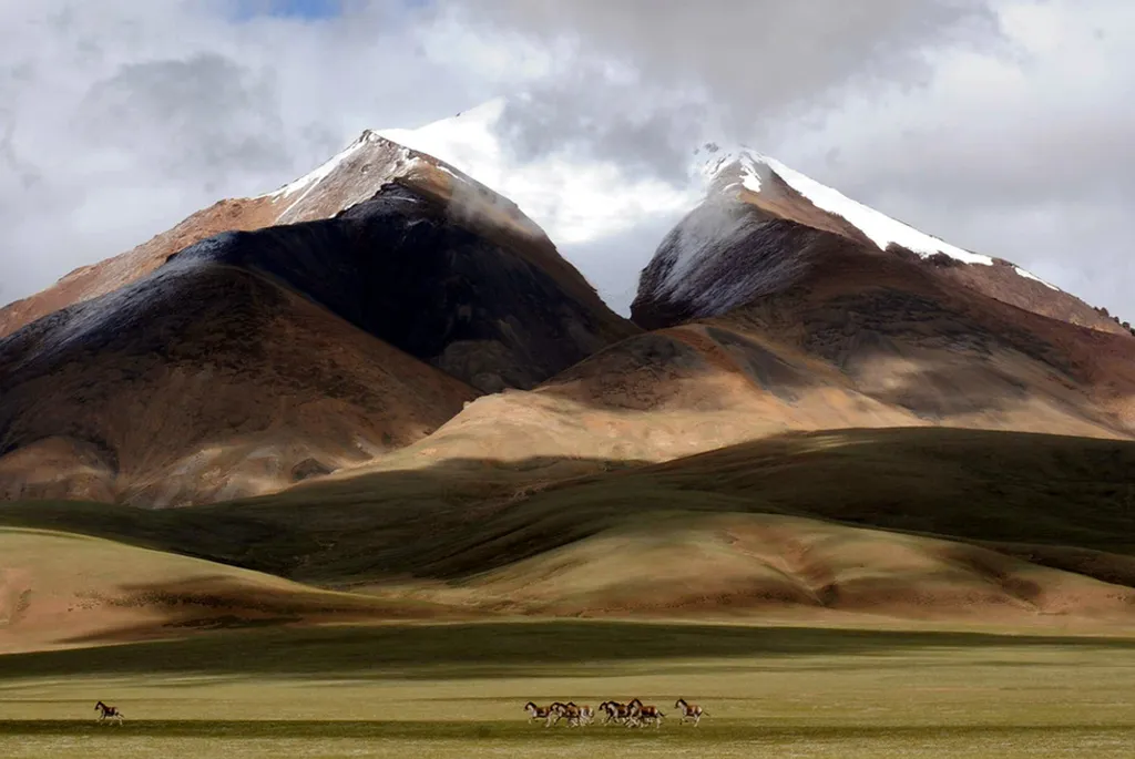 Fotó: Tang Zhaoming / Northfoto 