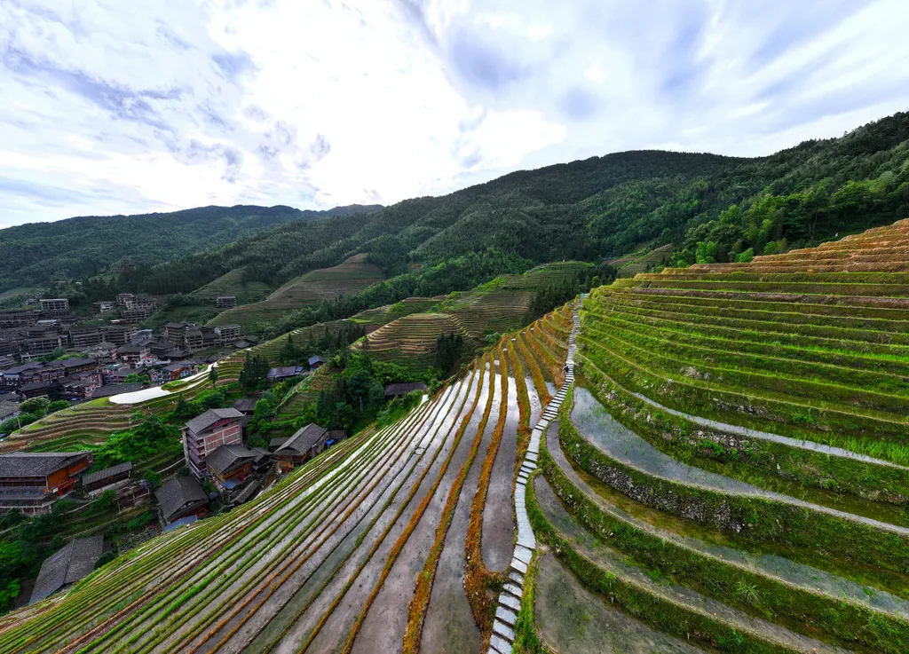 Forrás: Xinhua via AFP/Xinhua News Agency.All Rights Reserved/Zhou Hua