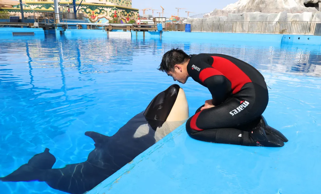 Forrás: Xinhua via AFP/Xinhua News Agency.All Rights Reserved/Fang Zhe