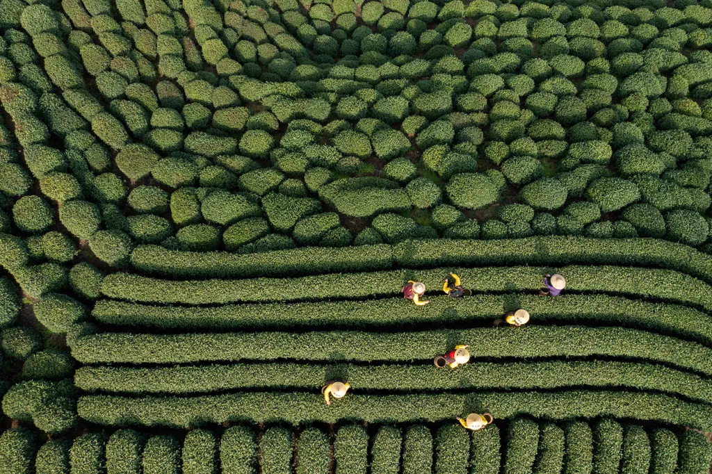 Forrás: Xinhua via AFP/Xinhua News Agency.All Rights Reserved/Xu Yu