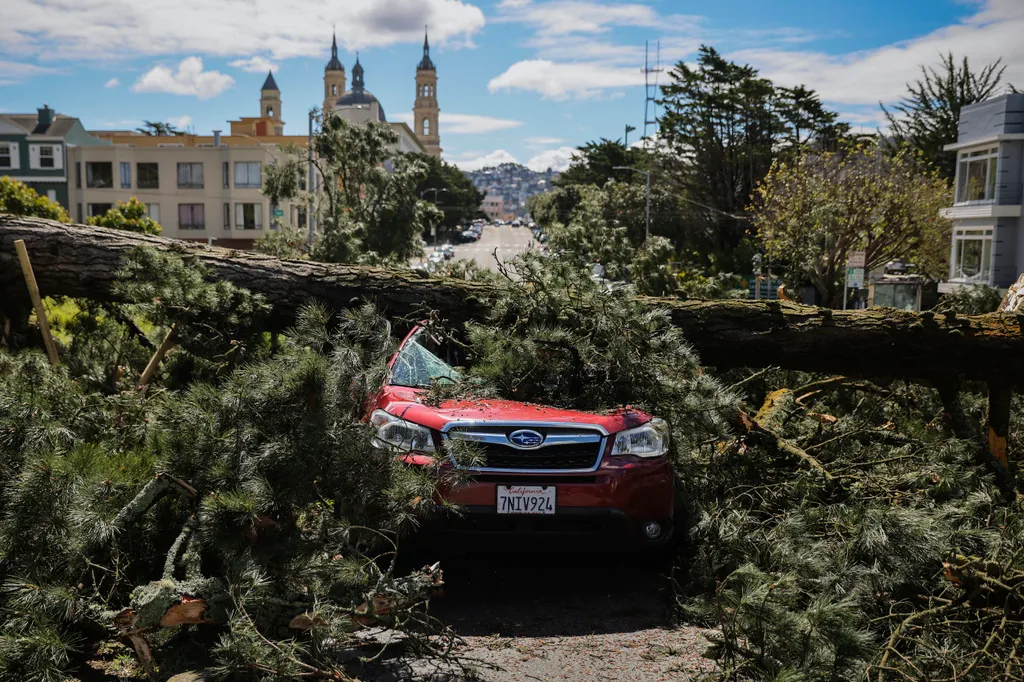 Forrás: MTI/AP/San Francisco Chronicle/Gabrielle Lurie