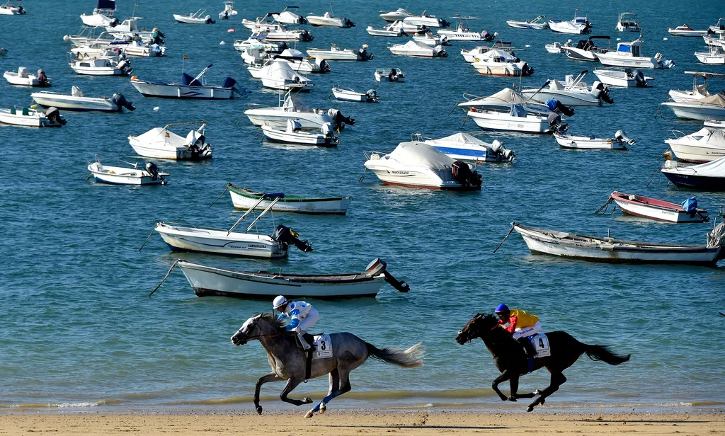 Forrás: AFP/Cristina Quicler