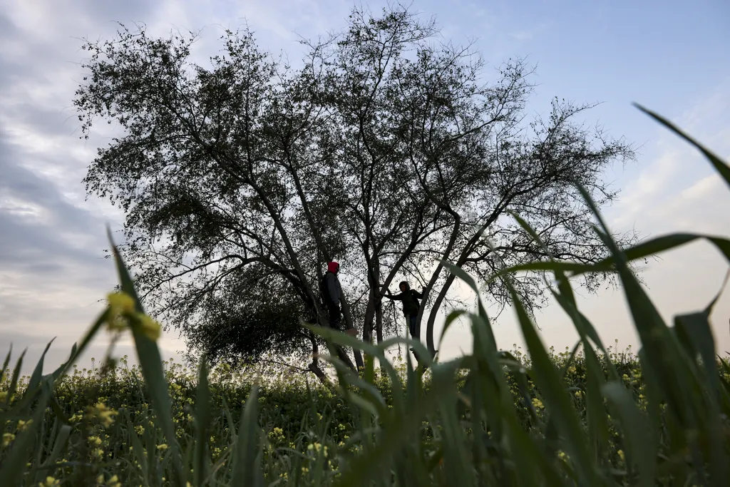 Forrás: AFP/Mohammed Abed