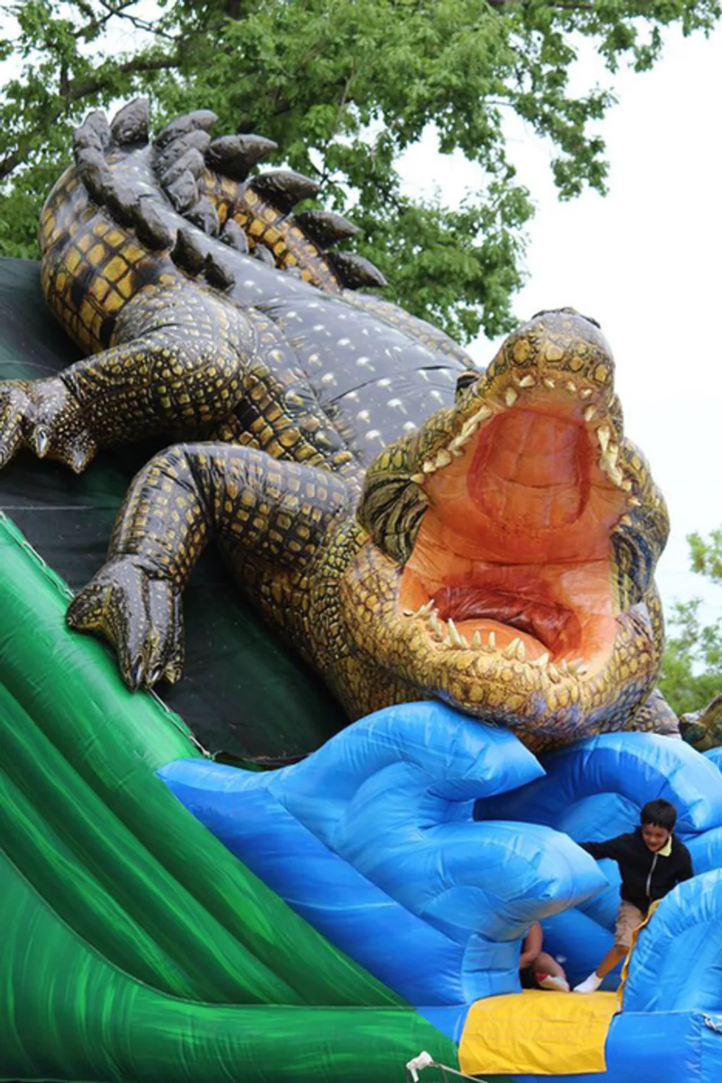 Fotó: Omaha's Henry Doorly Zoo and Aquarium 