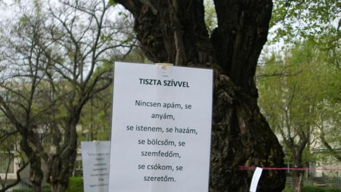 Valakik fejére ma versek és verstöredékek potyogtak