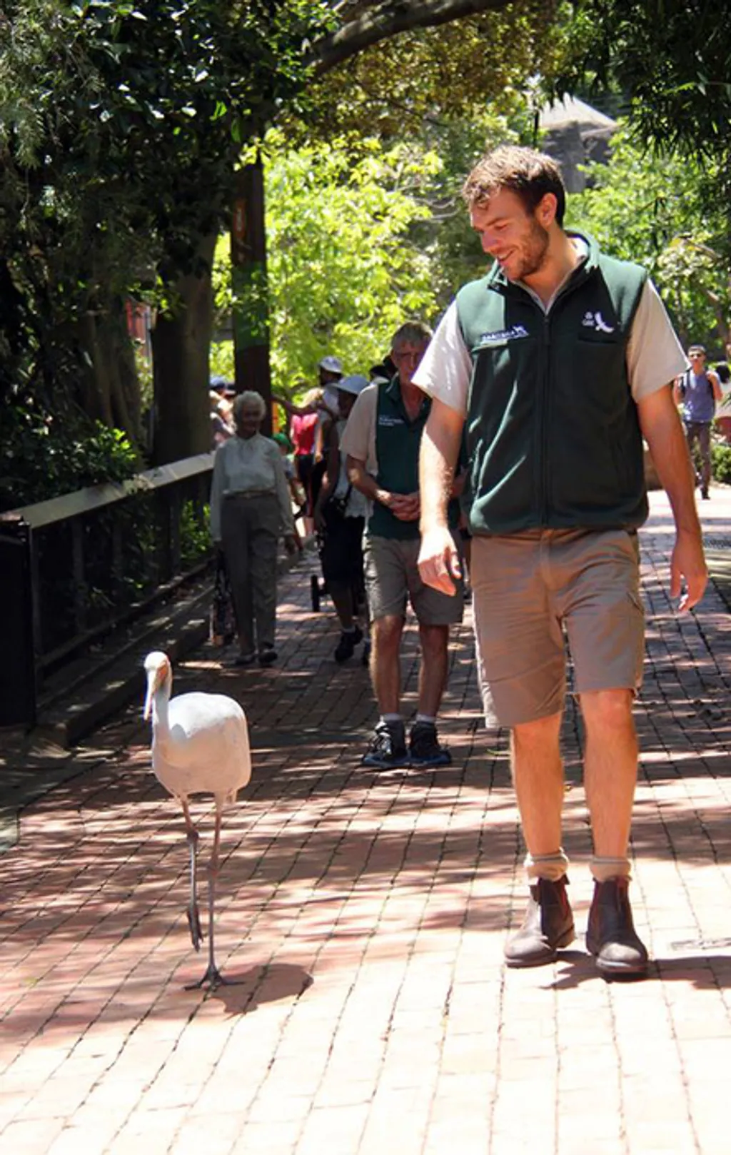 Fotó: Taronga Zoo 