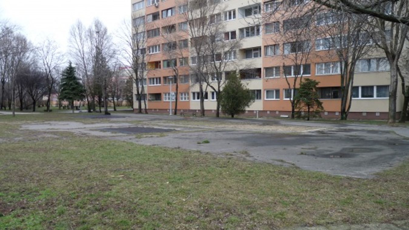 Paradicsomot fogok termeszteni a panelházak között