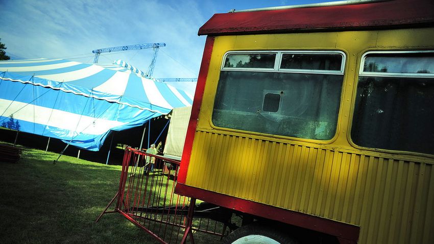 Sziget programajánló