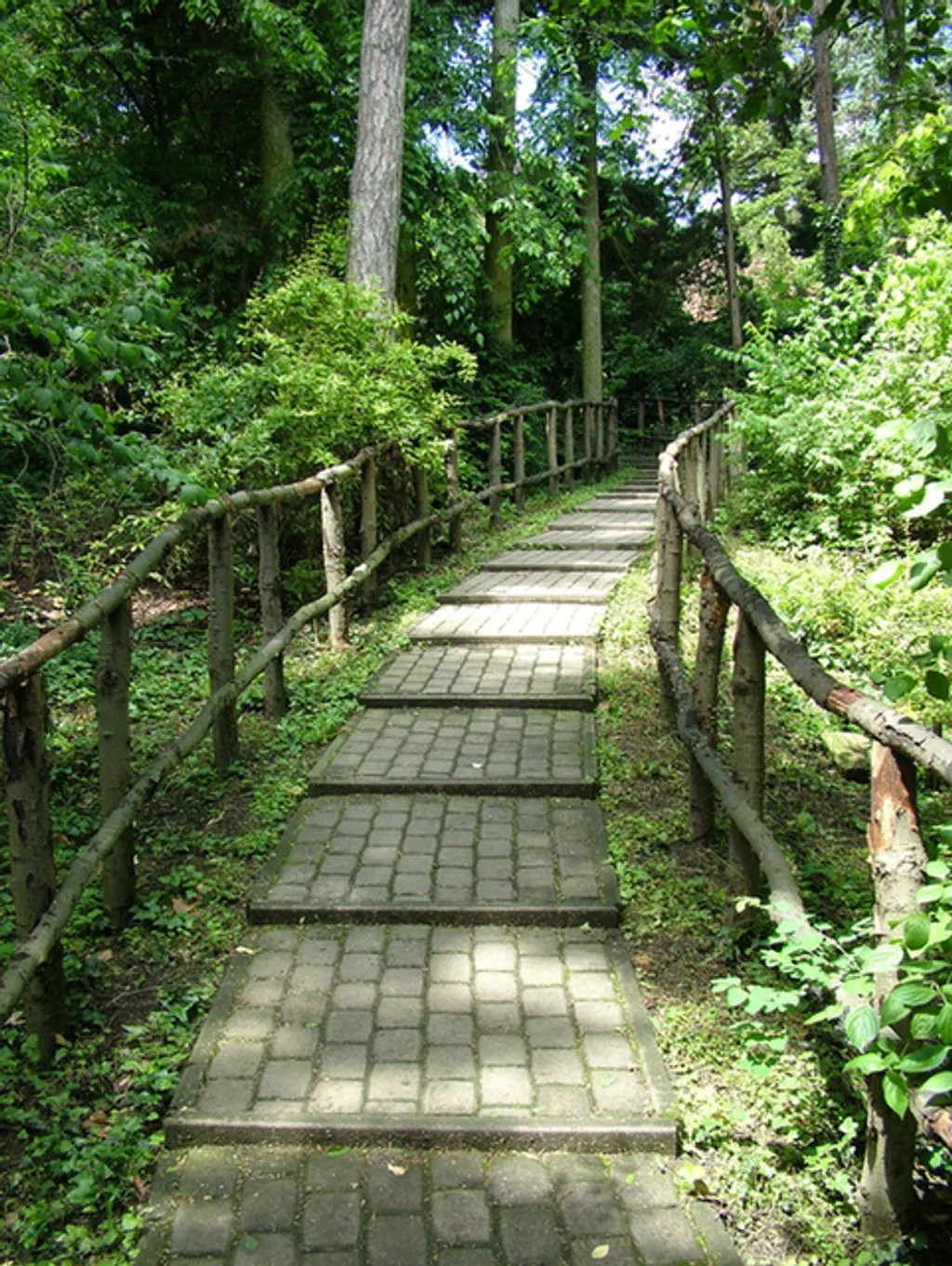 Fotó: Szarvasi Arborétum 