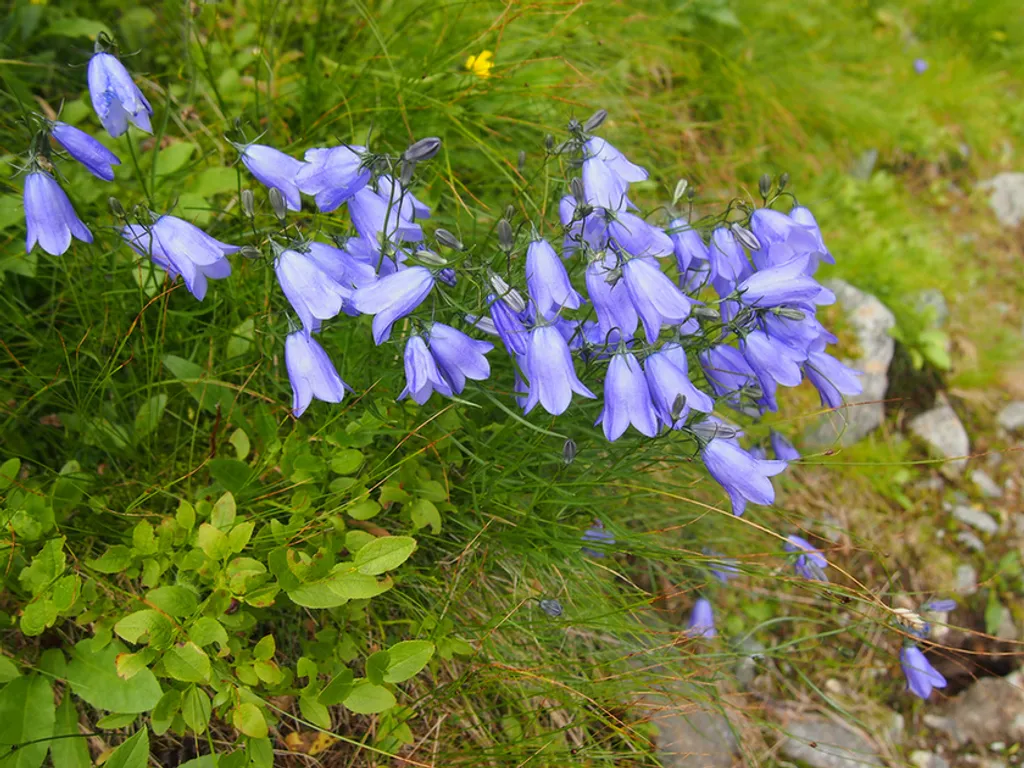 Fotó: Vincze Barbara / Travelo 