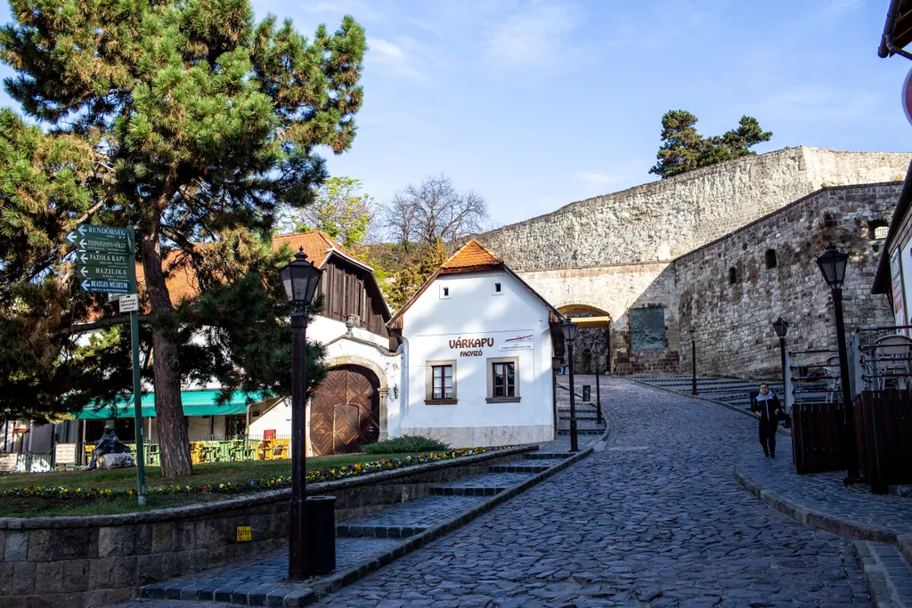 Forrás: Polyak Attila 