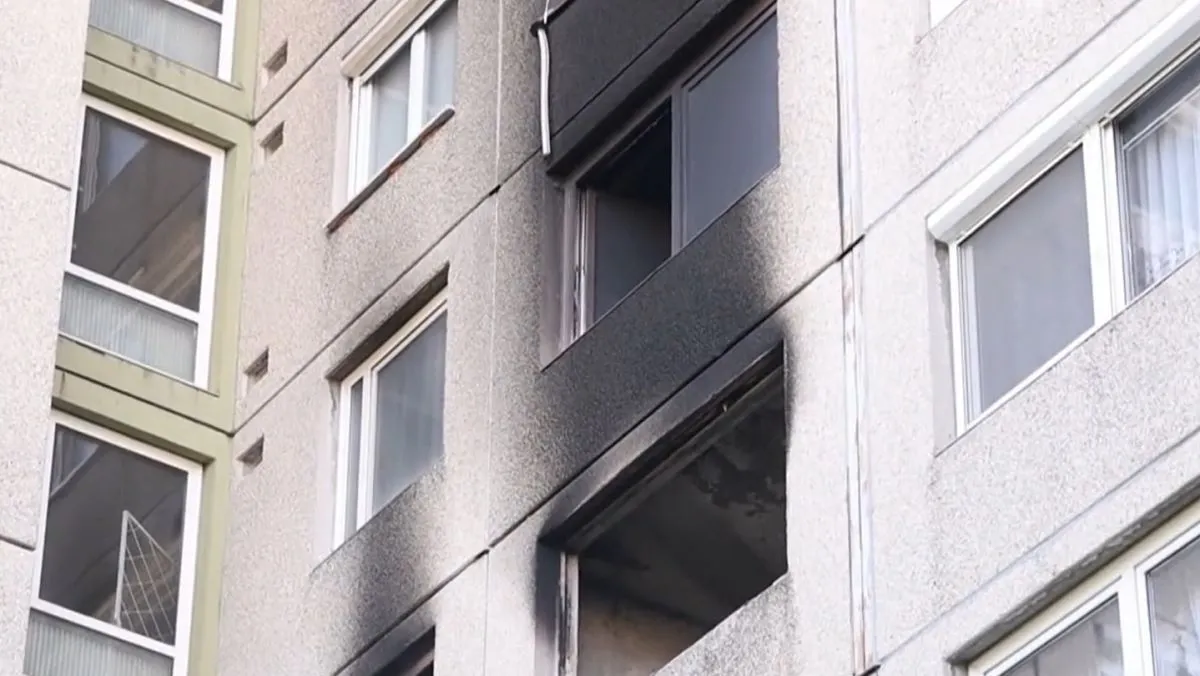 tűz