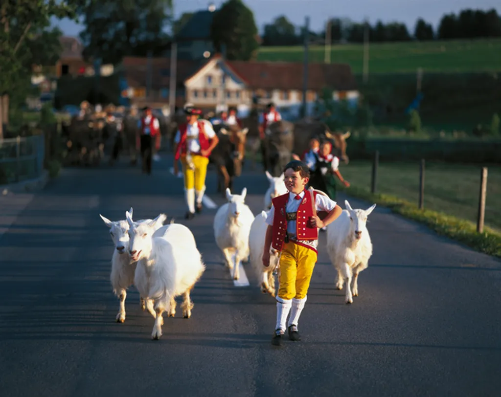 Fotó: Christof Sonderegger / www.swiss-image.ch 