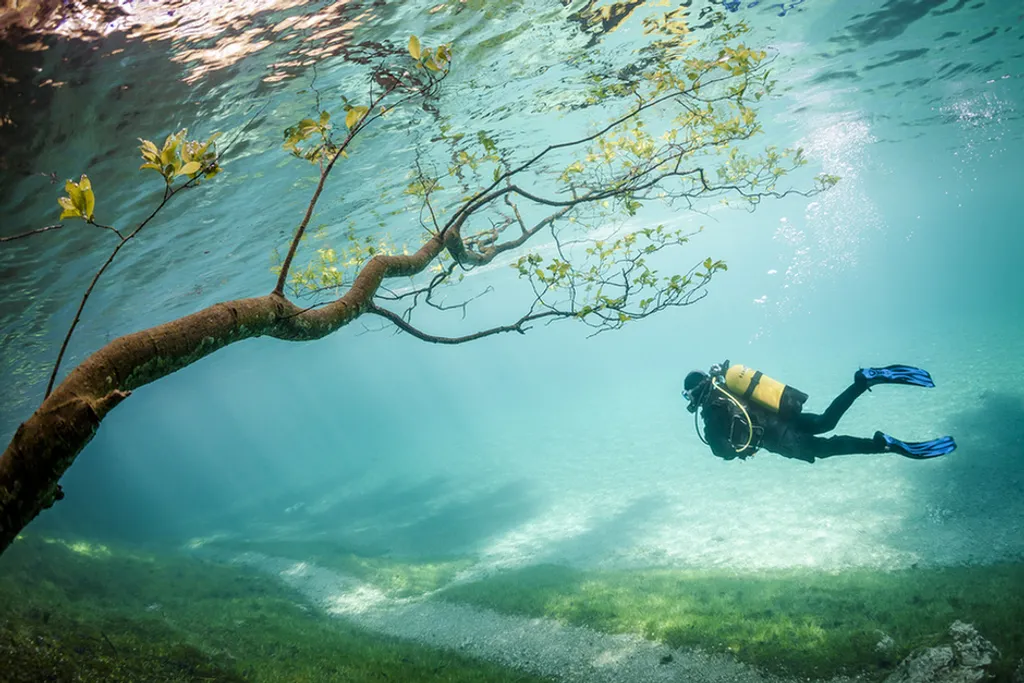 Fotó: Marc Henauer/solent News Photo Agency / Northfoto 