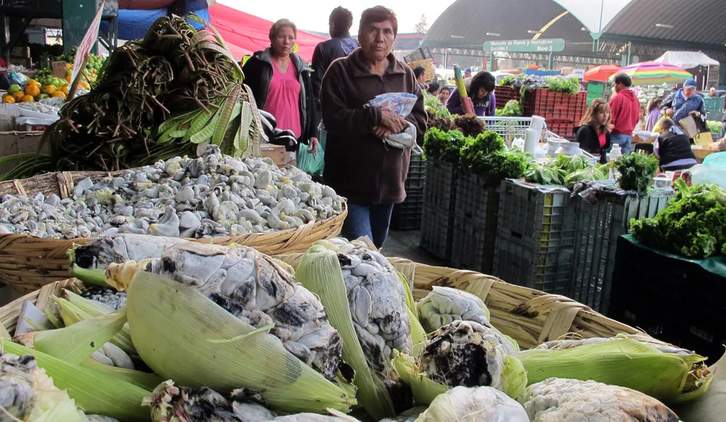 Fotó: Huitlacoche / Europress / Getty 