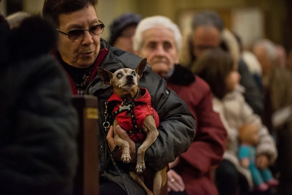 Fotó: Giorgio Cosulich / Europress / Getty 