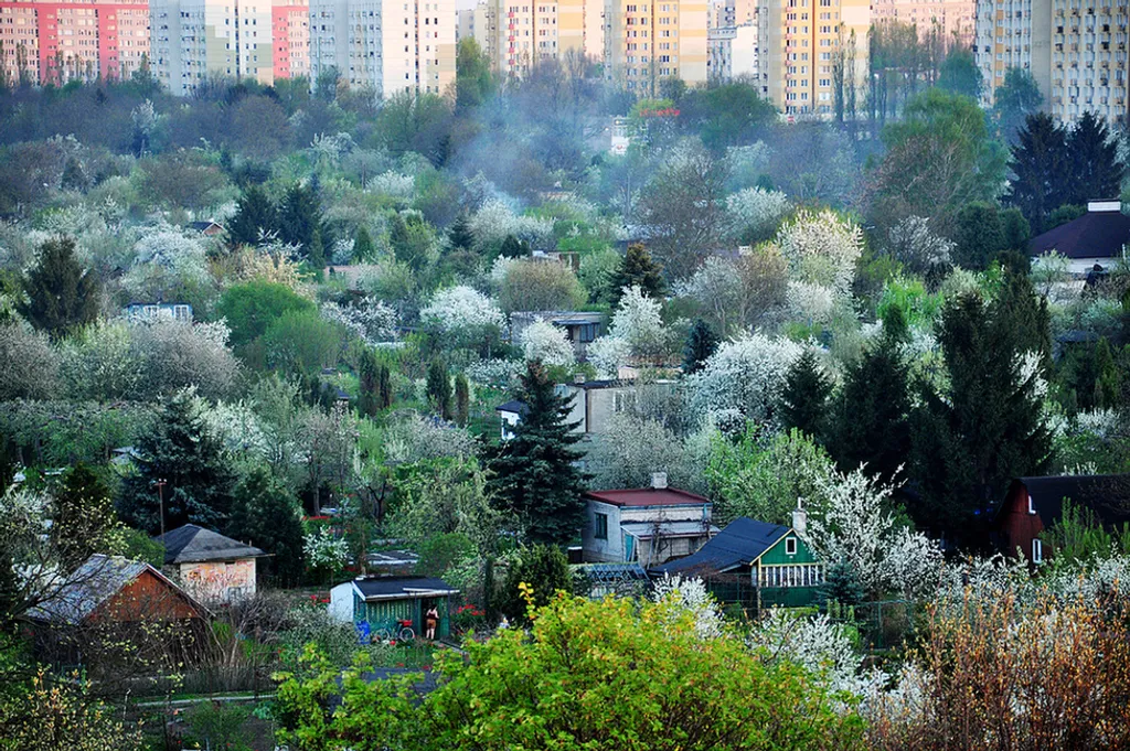 Ewa Gryguc / IGPOTY 
