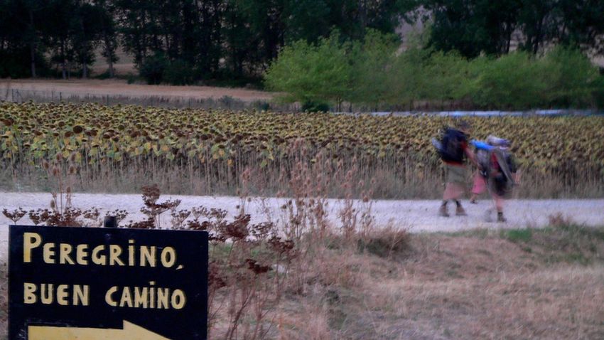 Magyar Camino