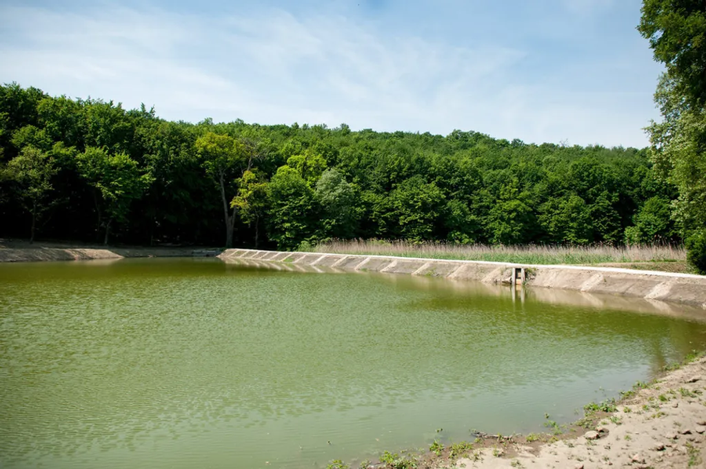 Fotó: Gergely Szilárd / MTI 
