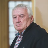 Havas Henrik képe