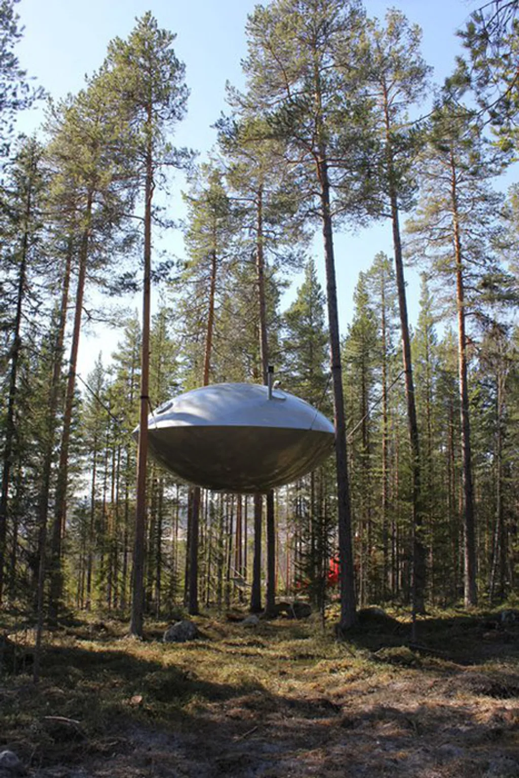 Fotó: Treehouse 