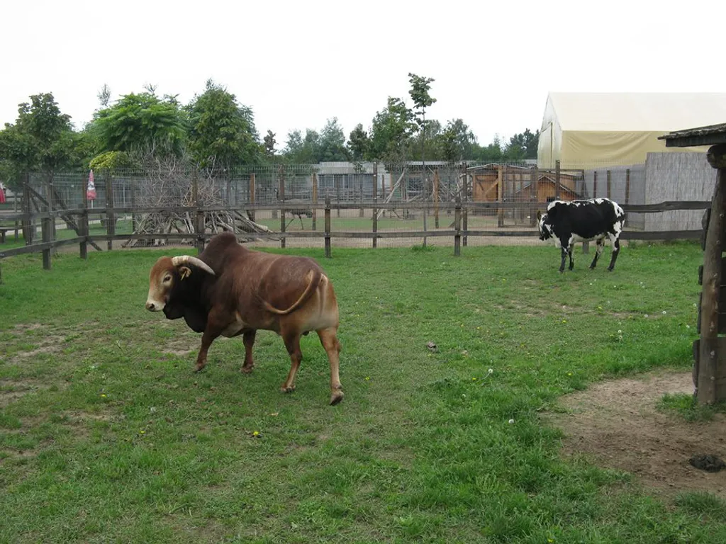 Fotó: Bella Lovasudvar 
