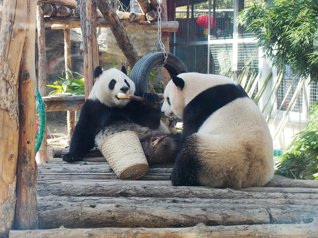 Forrás: Imaginechina via AFP/Du Jianpo