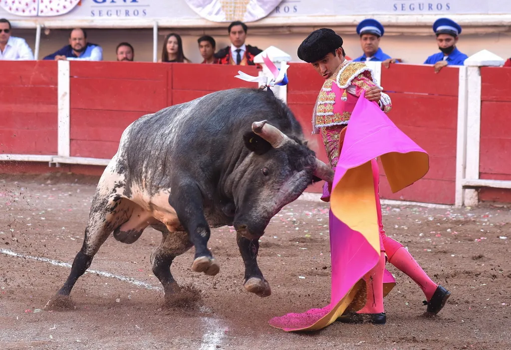 Forrás: MTI/EPA-EFE/Tadeo Alcina