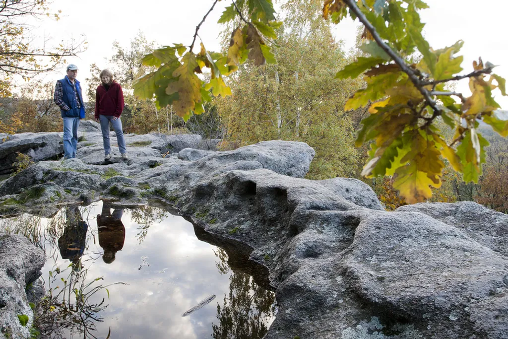 Fotó: Korbély Barnabás / Balaton-felvidéki Nemzeti Park Igazgatóság 