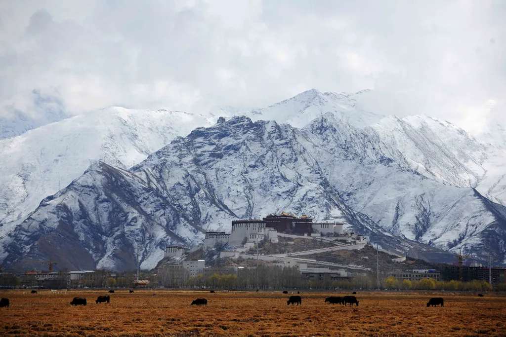 Fotó: Wen Tao Xinhua / Eyevine / Northfoto 
