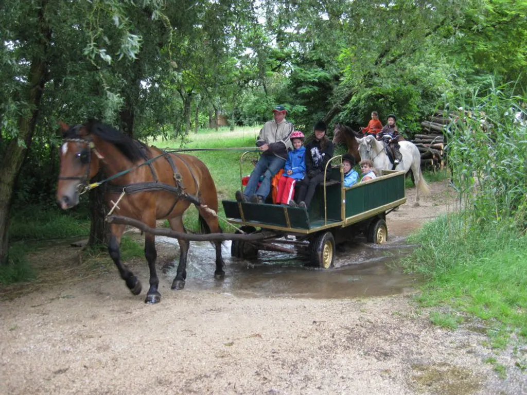 Fotó: Szentesi Farm 