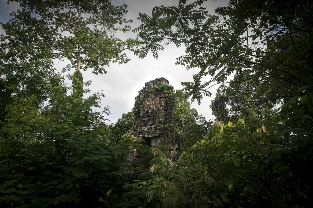 Fotó: Craig Stennett / Northfoto 