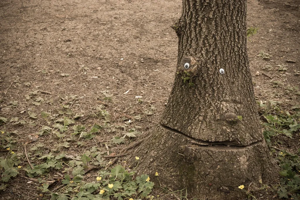Fotó: Eyebombing.bg 