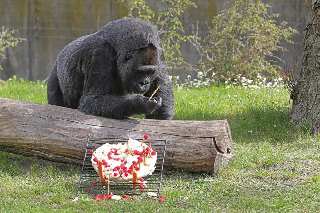 Zoo Berlin 