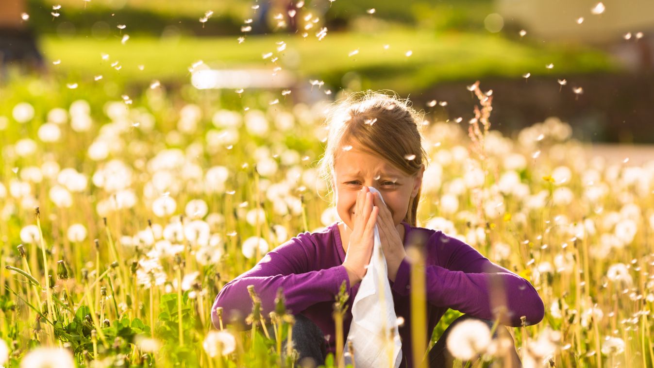 Allergia, keresztallergia, asztma – az A betűs rémek