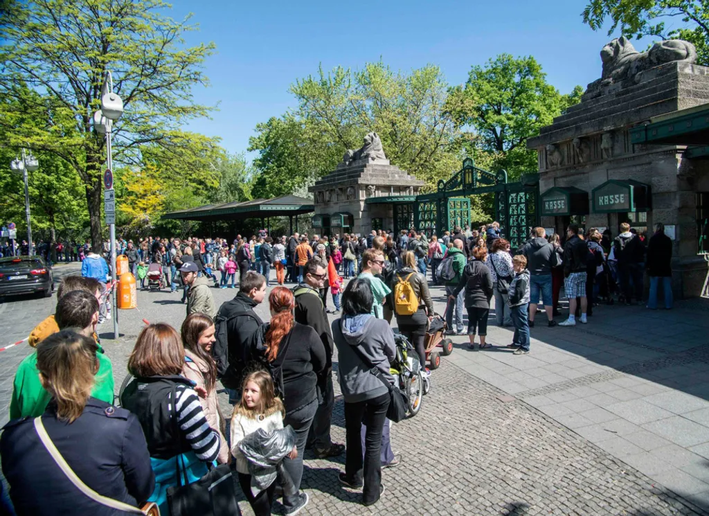 Fotó: Zoo Berlin 