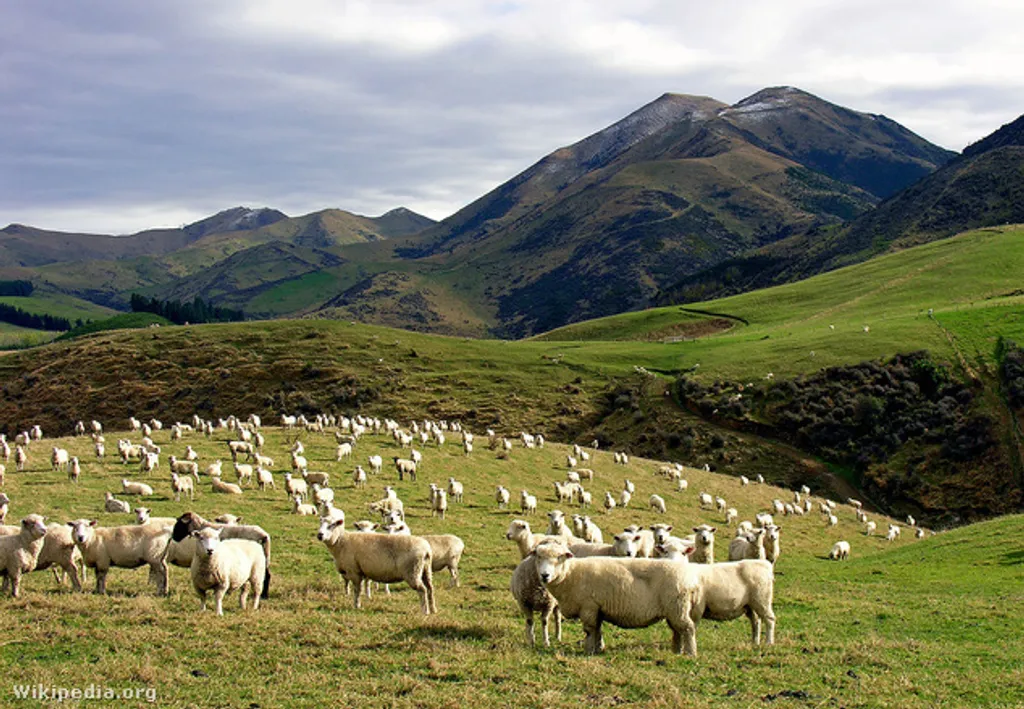 Fotó: Wikimedia Commons 
