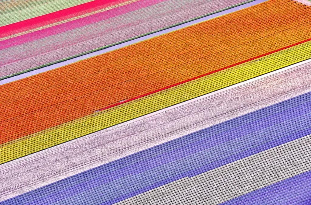 Fotó: Solent News Photo Agency / Northfoto 