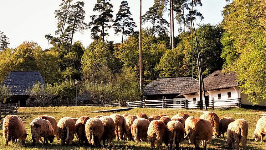 Európa legnagyobb skanzenjéhez induljon kelet felé!