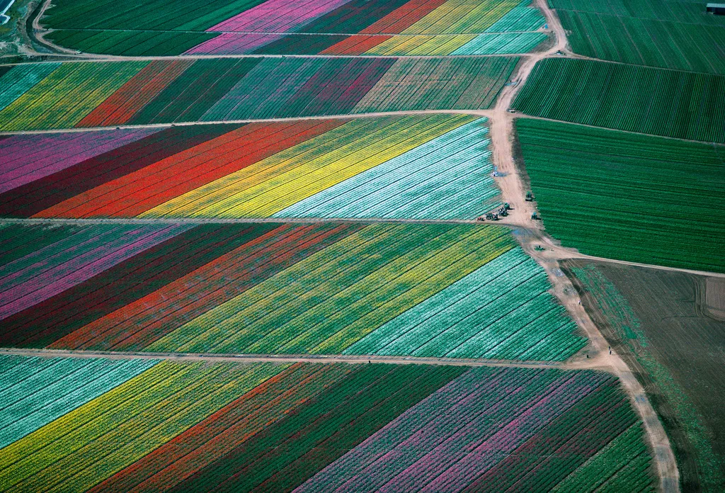 Fotó: Alex S. Maclean / Barcroft Usa / Northfoto 