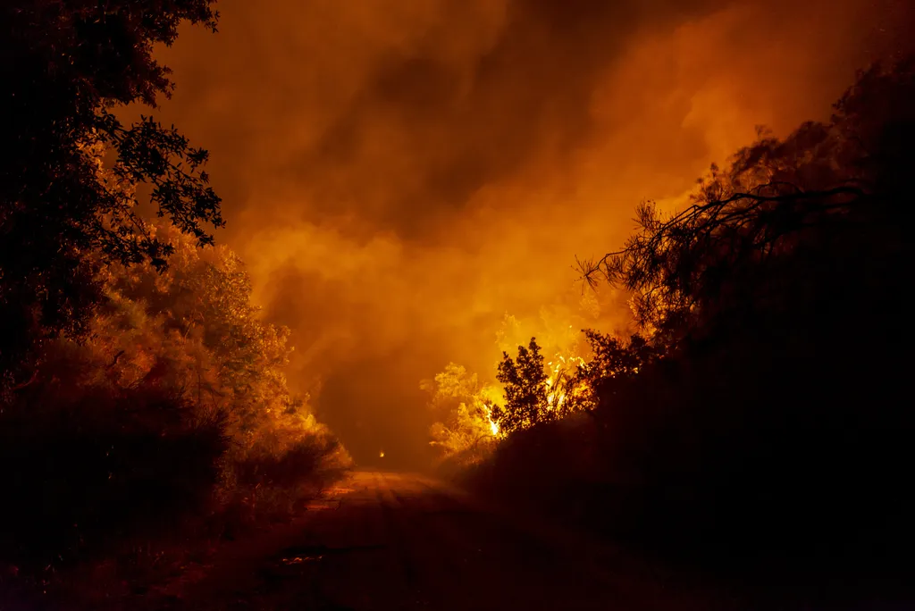 Forrás: Anadolu Agency via AFP/Salvatore Allegra