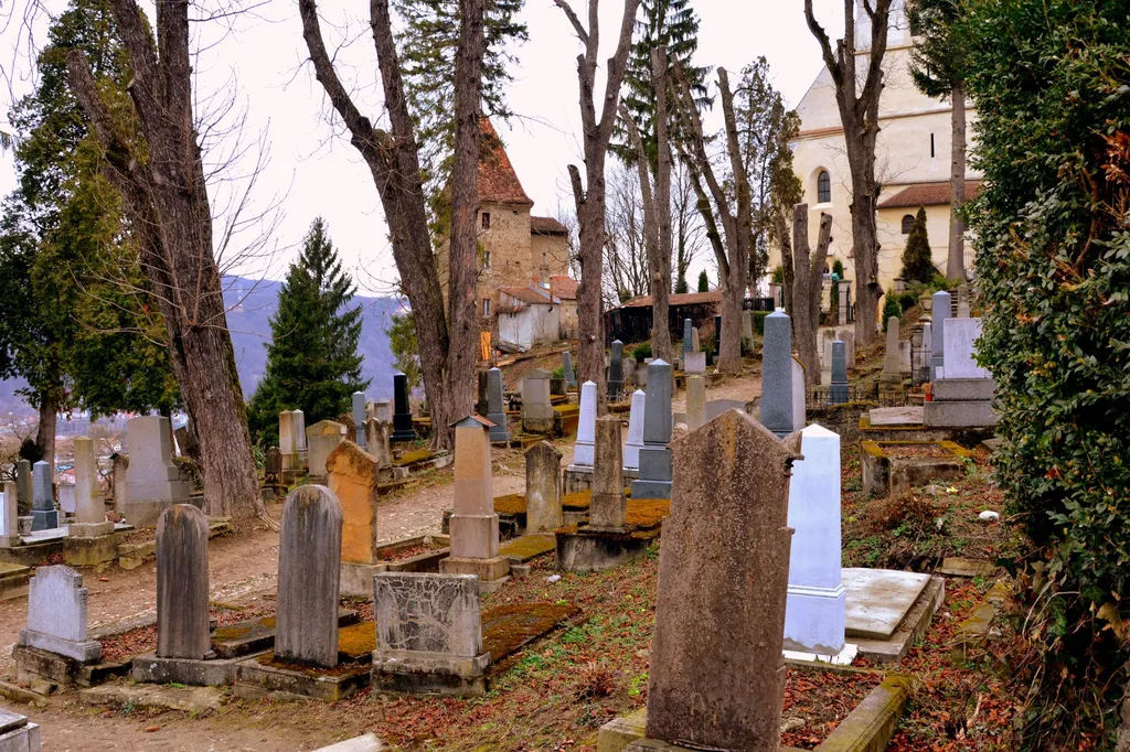 Forrás: Cartophil/shutterstock.com