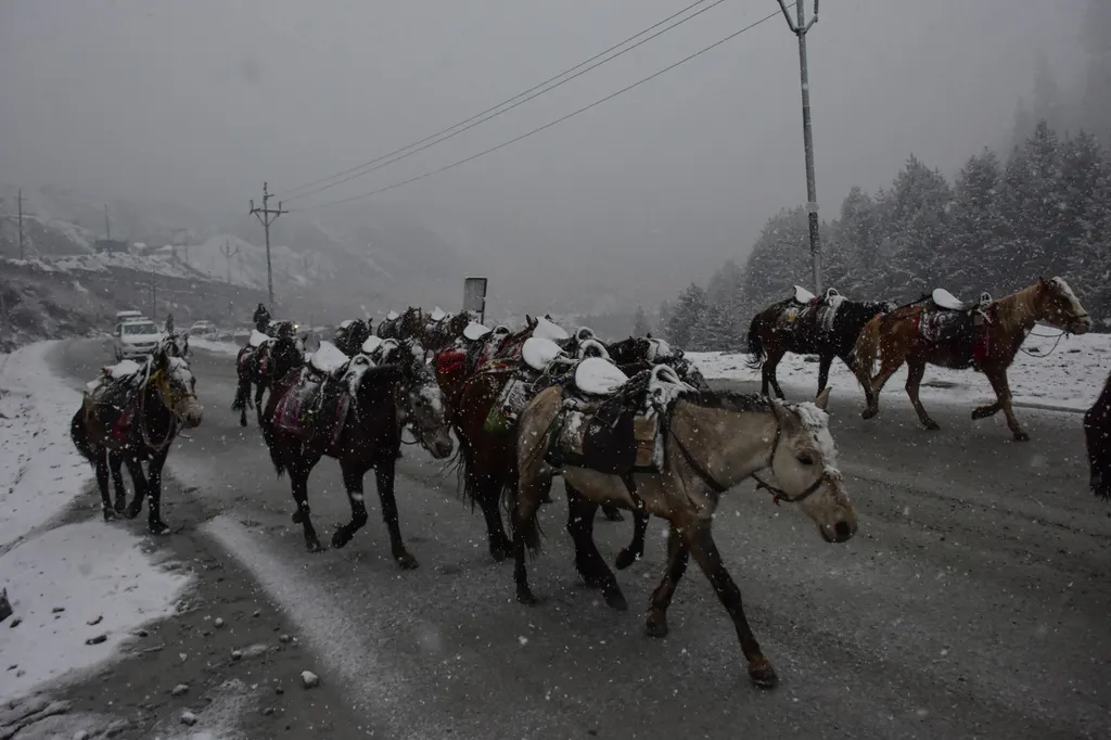 Forrás: NurPhoto via AFP/Muzamil Mattoo/NurPhoto/Muzamil Mattoo