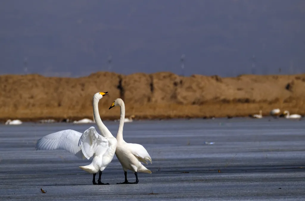 Forrás: Xinhua via AFP/Xinhua News Agency.All Rights Reserved/Jia Lijun