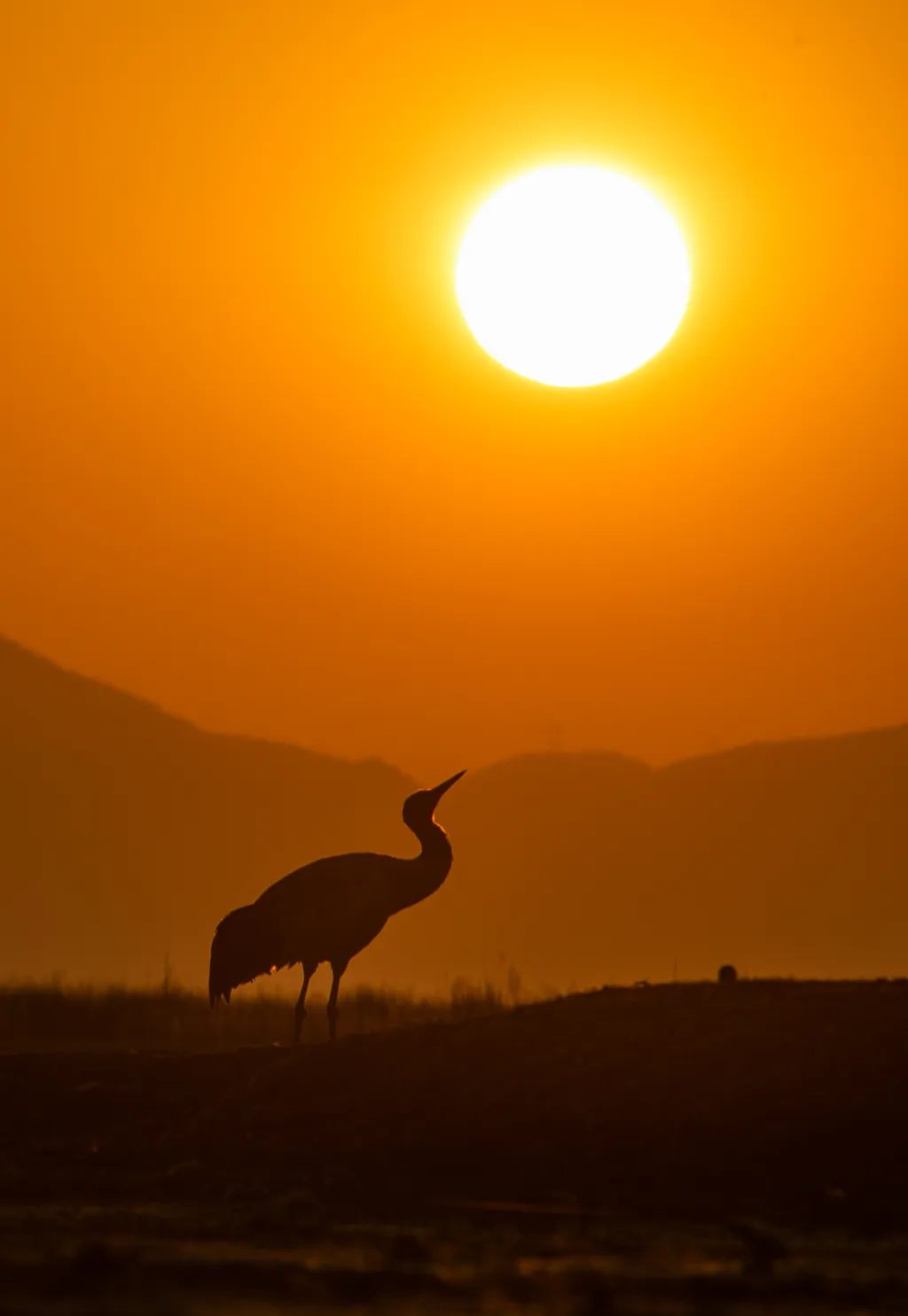 Forrás: Xinhua via AFP/Xinhua News Agency.All Rights Reserved/Luo Dafu