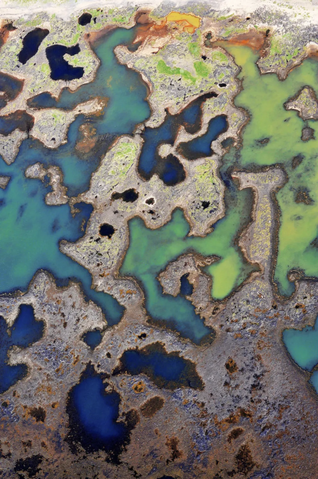 Fotó: Solent News Photo Agency / Northfoto 