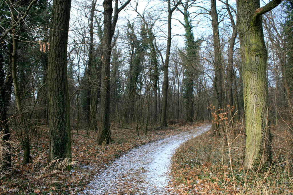 Fotó: hollosye 